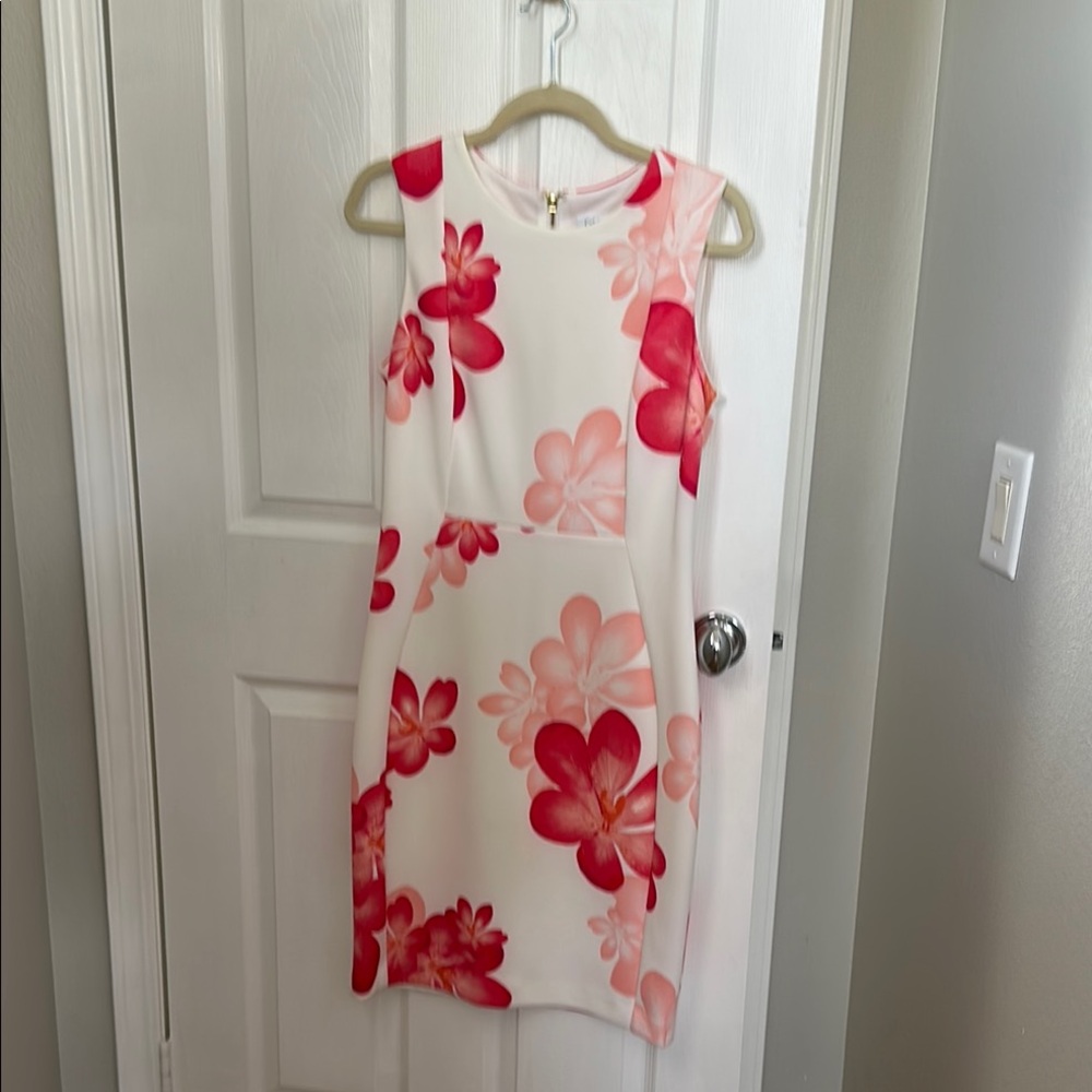 Floral Sleeveless Dress